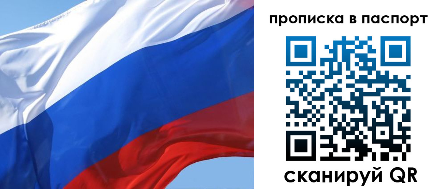 прописка иностранных граждан в Снежинске